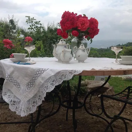 Douro Villa With Pool בית נופש ארממר