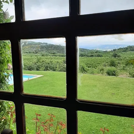 Douro Villa With Pool ארממר